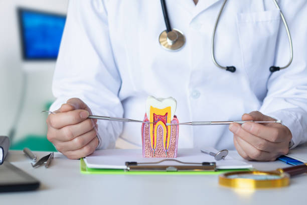 Best Same-Day Emergency Dentist in Thompsons Station, TN